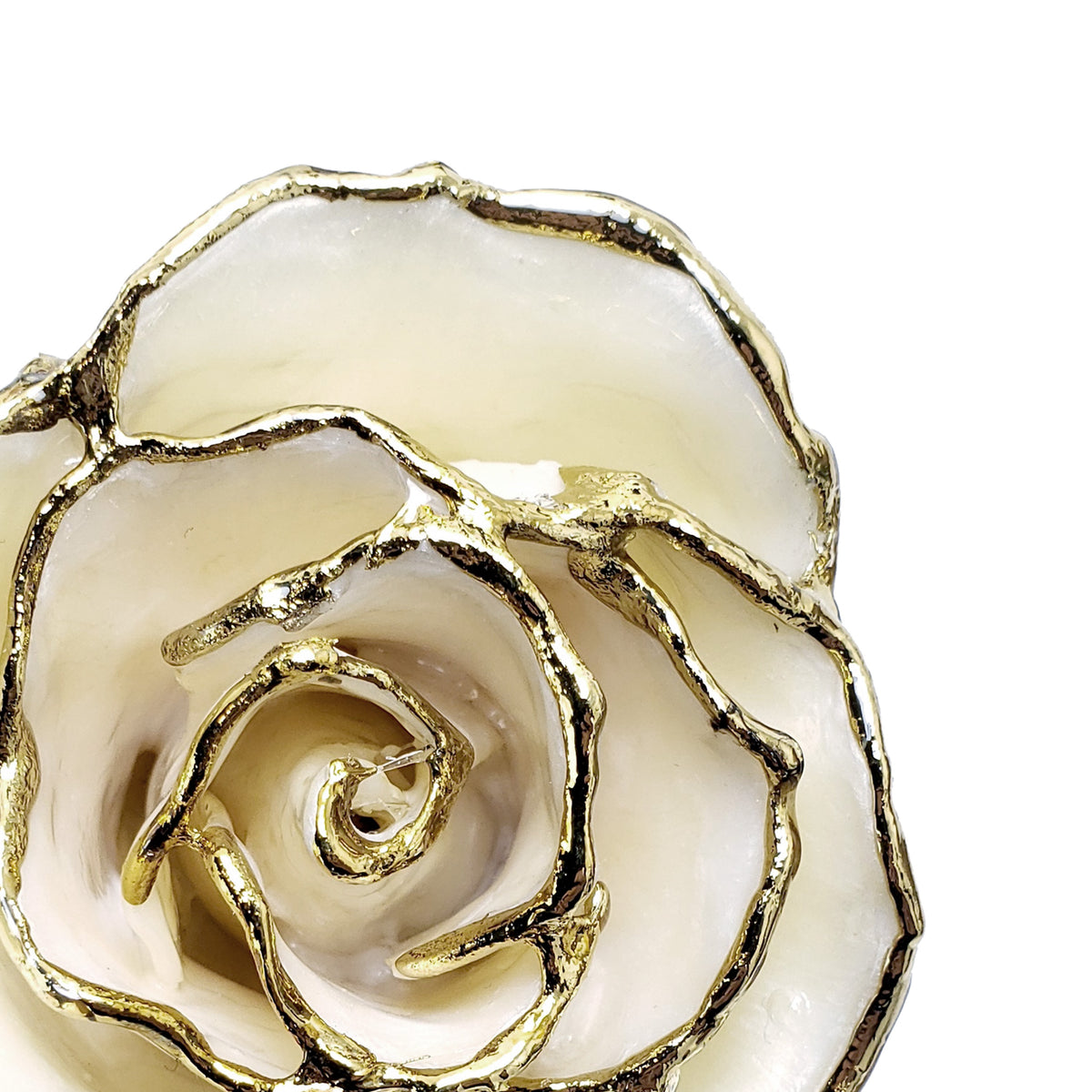 24K Gold Forever Rose - White Pearl (June Birthstone)