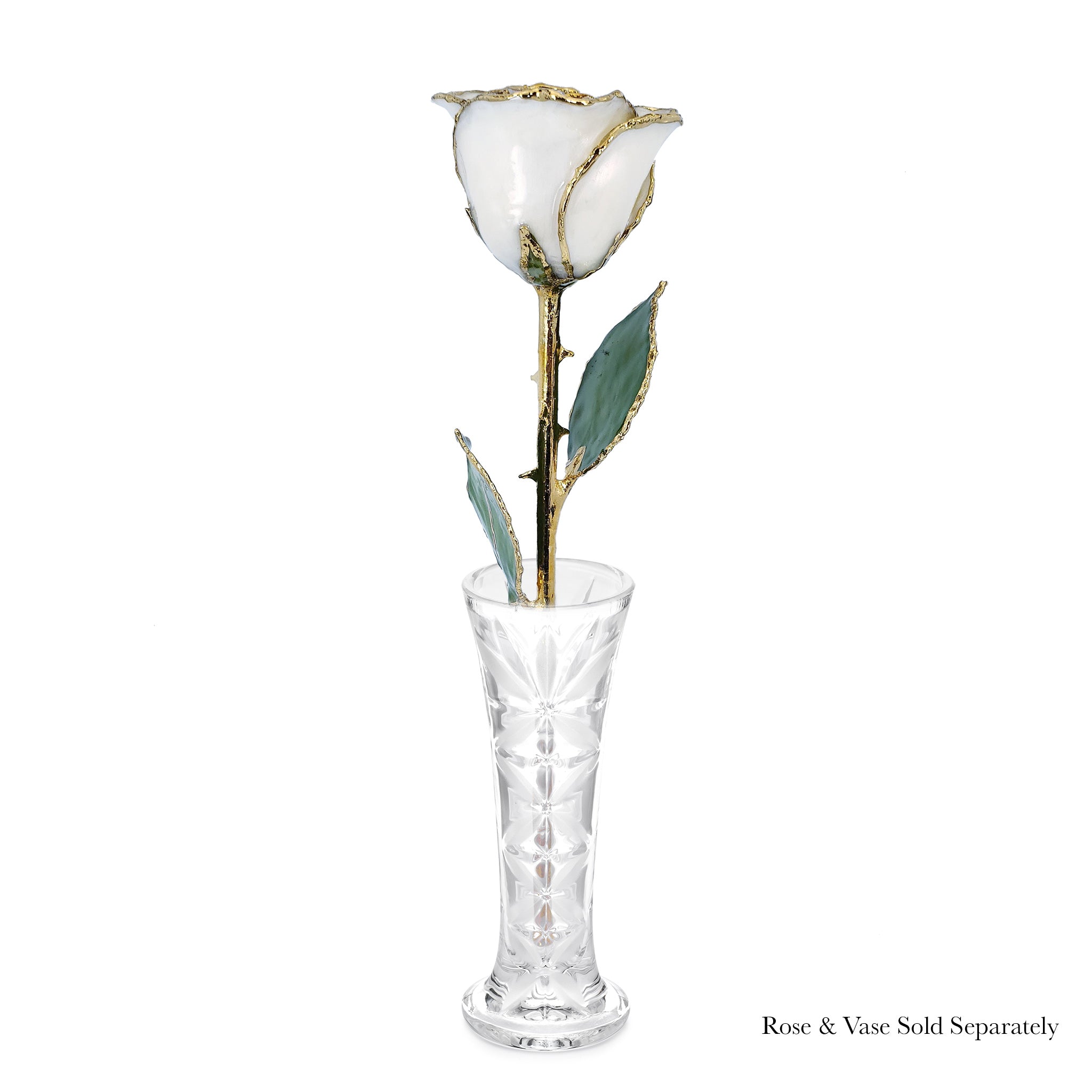 24K Gold Forever Rose - White Pearl (June Birthstone)