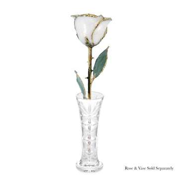 24K Gold Forever Rose - White Pearl (June Birthstone)