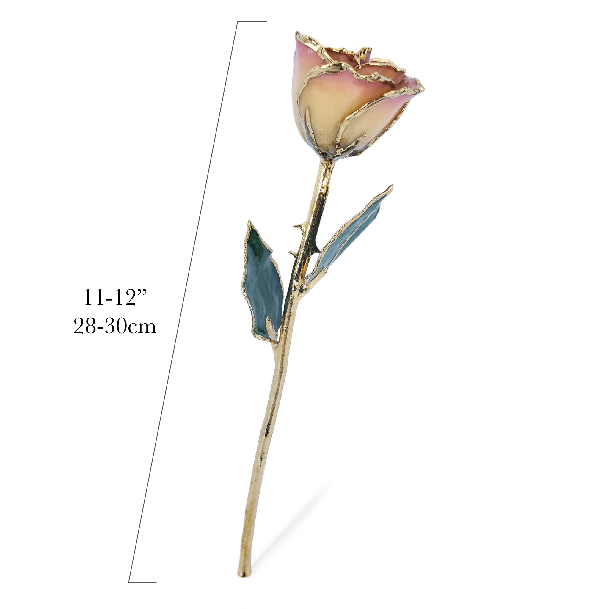 24K Gold Forever Rose - White to Pink