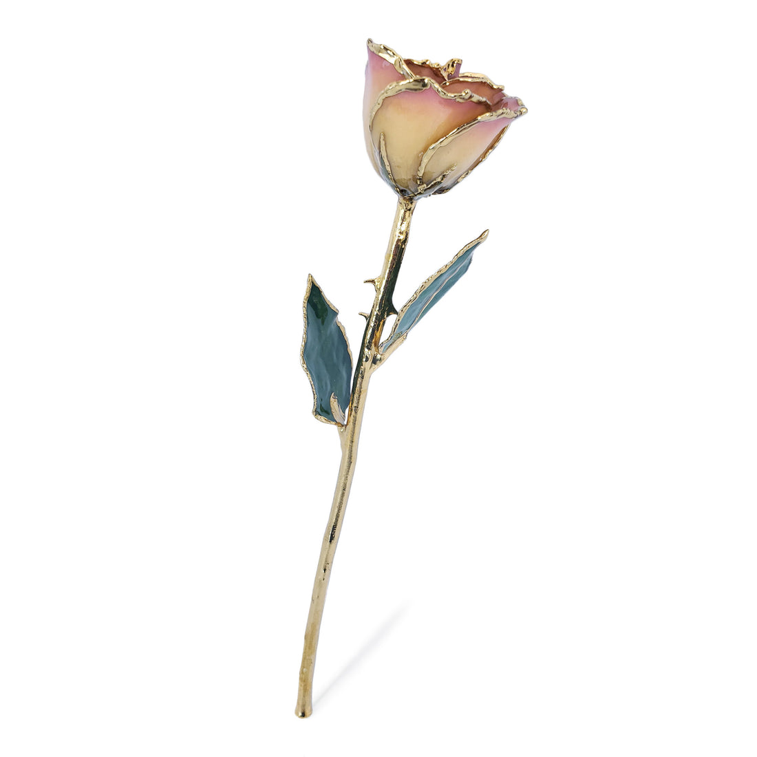 24K Gold Forever Rose - White to Pink