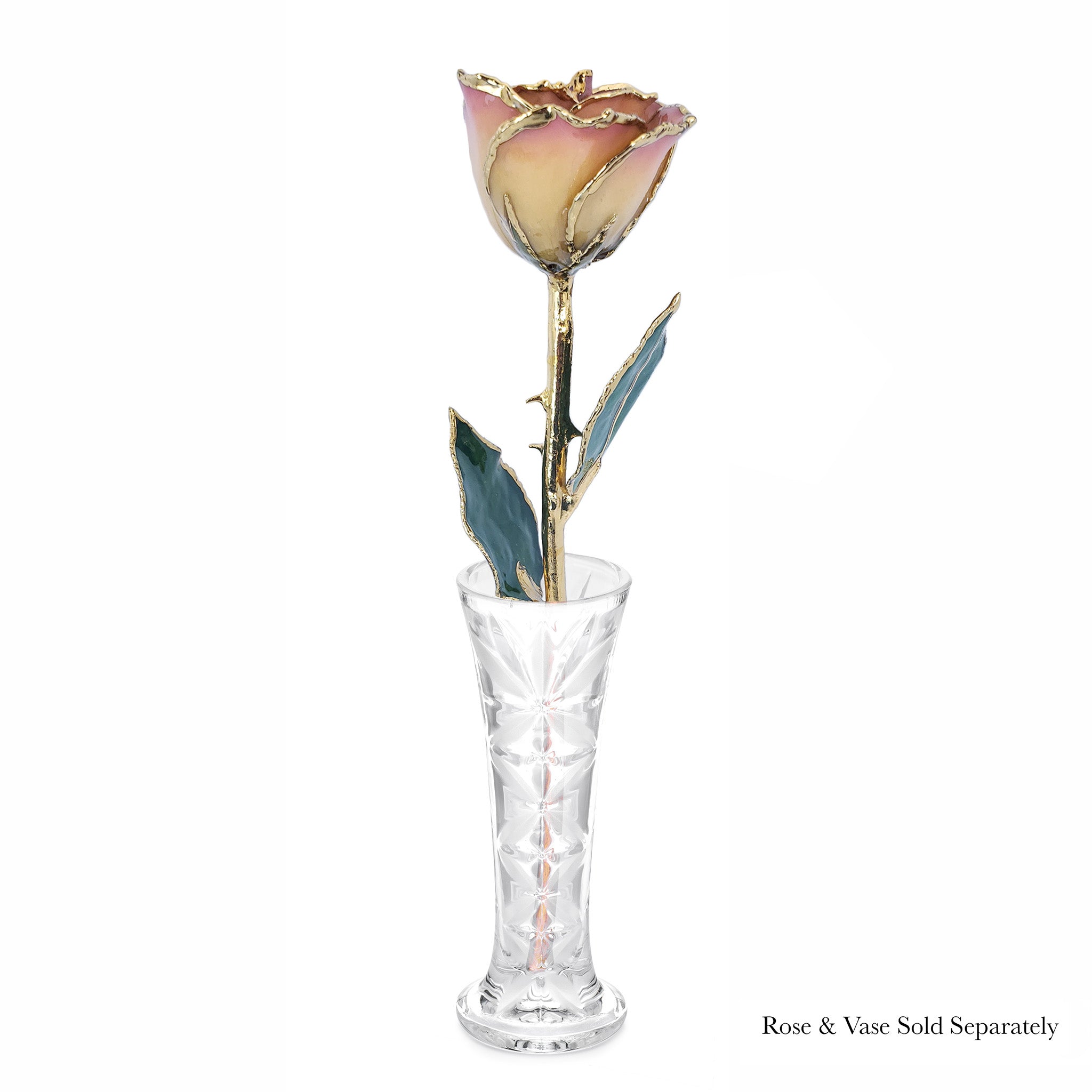 24K Gold Forever Rose - White to Pink