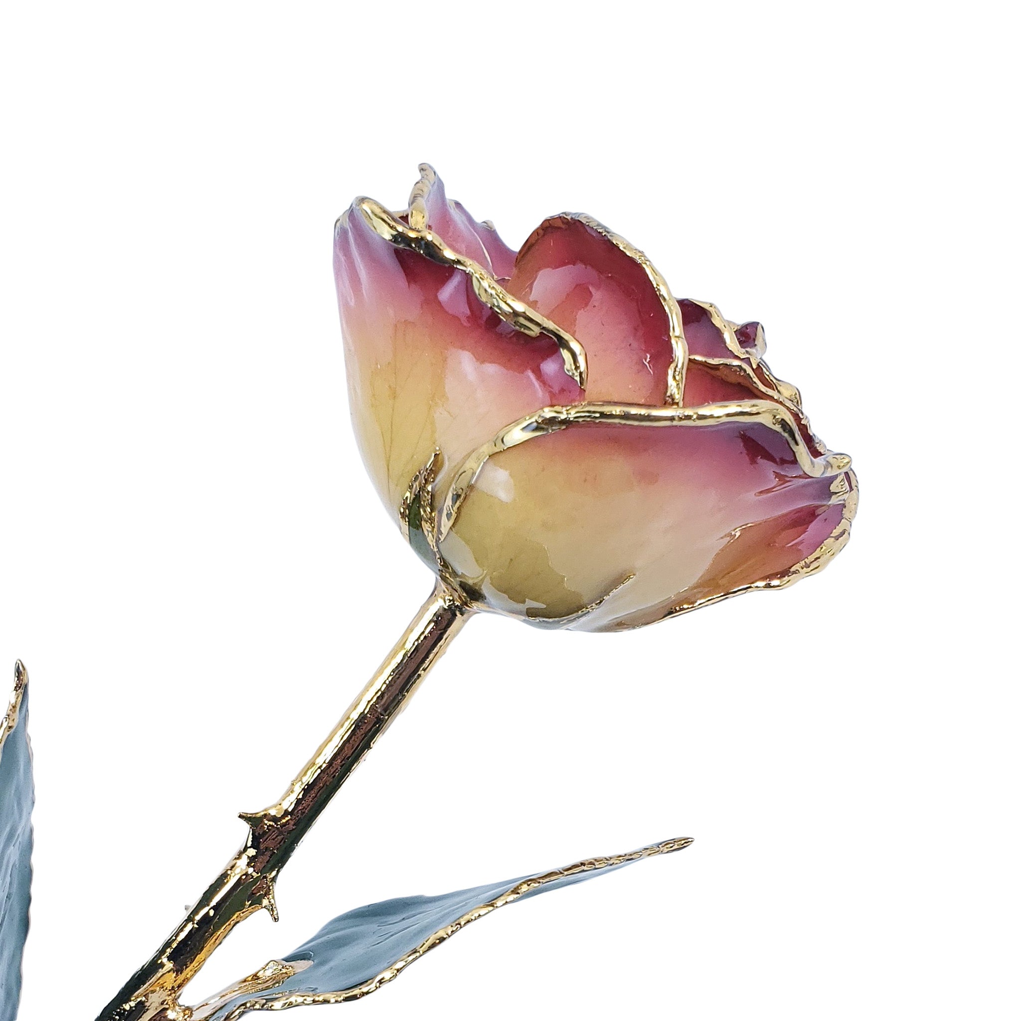 24K Gold Forever Rose - White to Red - The Forever Rose