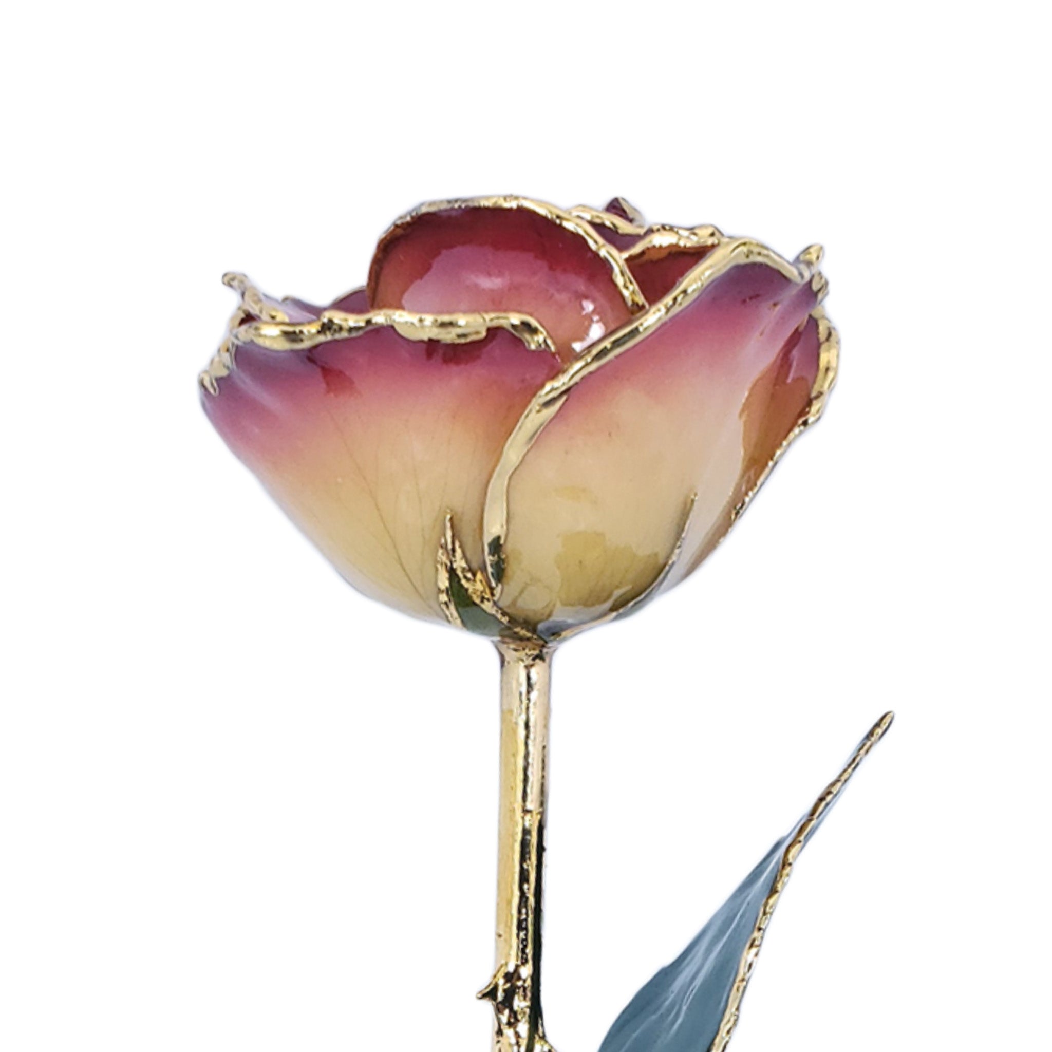 24K Gold Forever Rose - White to Red