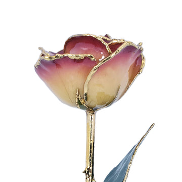 24K Gold Forever Rose - White to Red