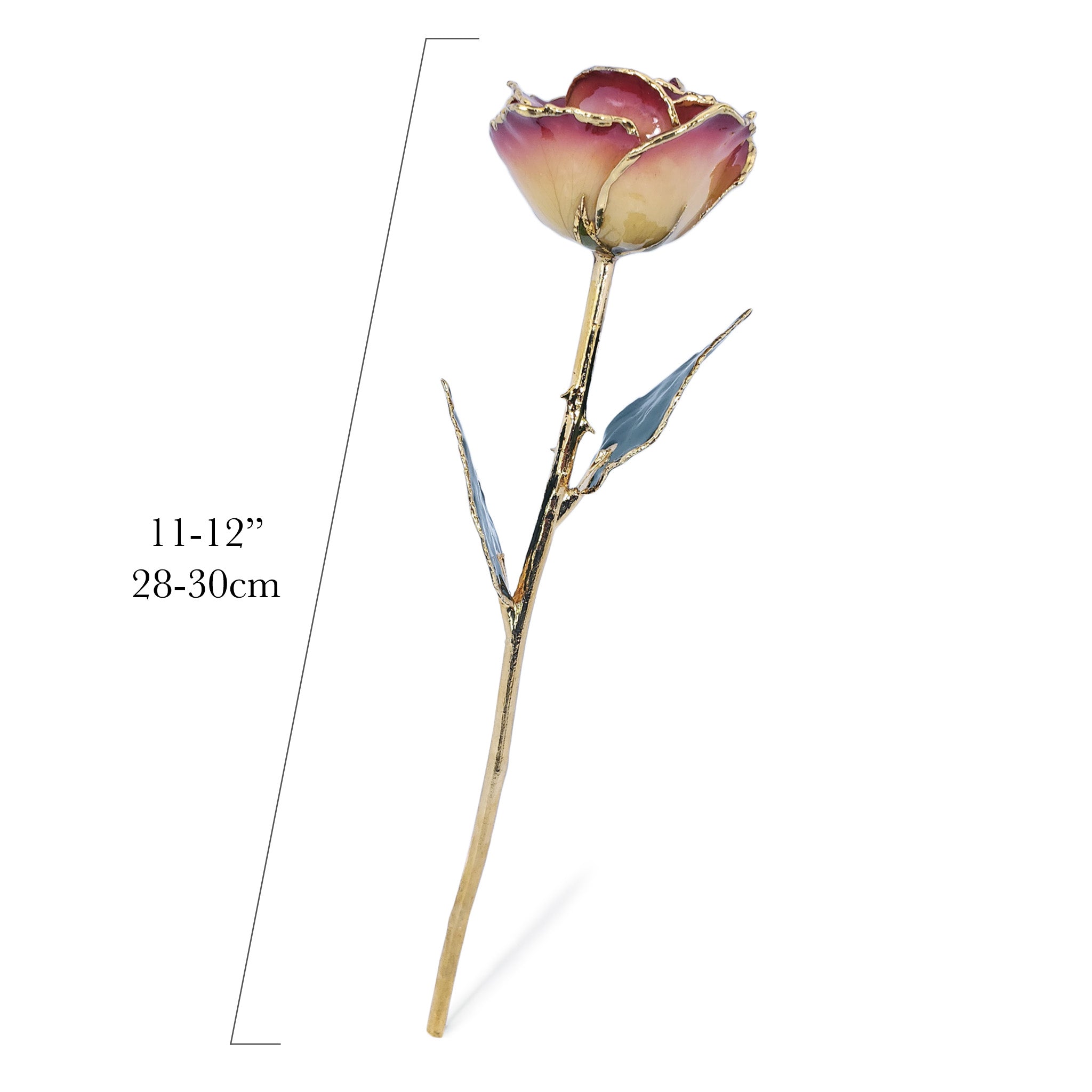 24K Gold Forever Rose - White to Red