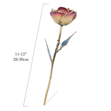 24K Gold Forever Rose - White to Red