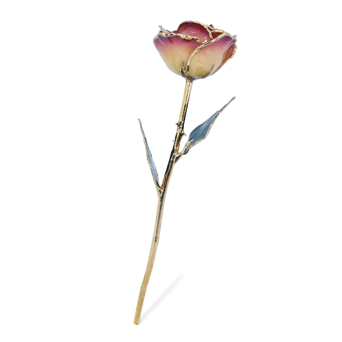 24K Gold Forever Rose - White to Red