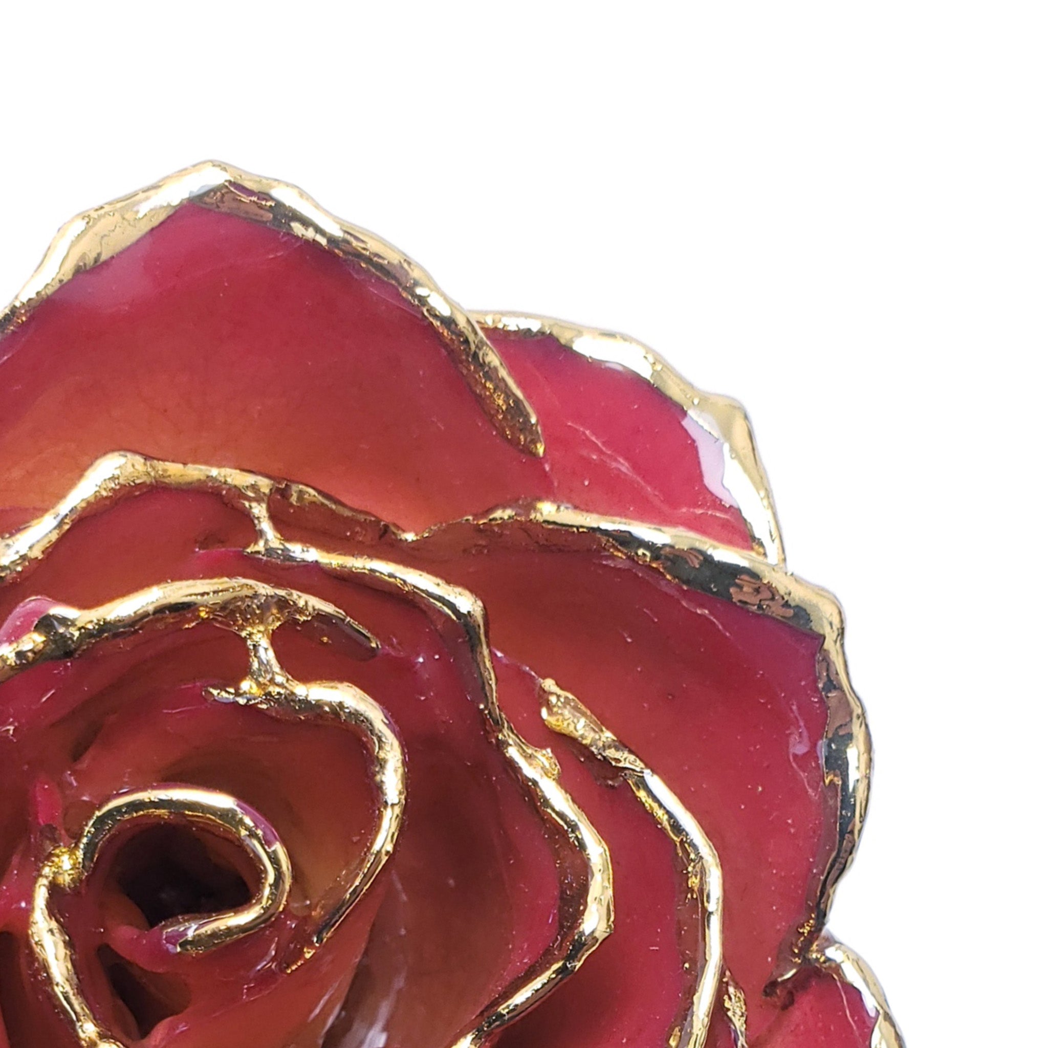 24K Gold Forever Rose - White to Red