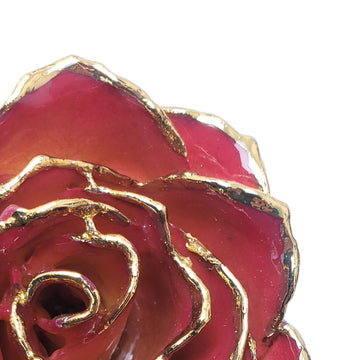 24K Gold Forever Rose - White to Red