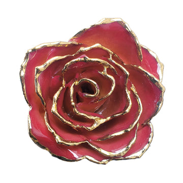 24K Gold Forever Rose - White to Red