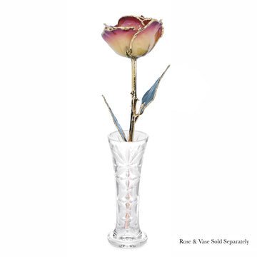 24K Gold Forever Rose - White to Red