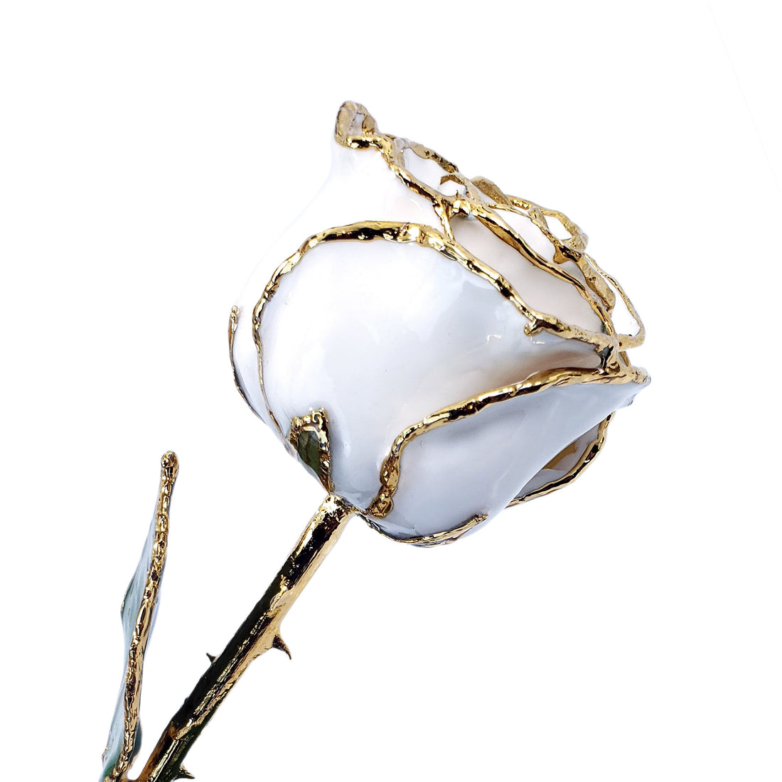 24K Gold Forever Rose - White Satin