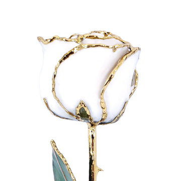 24K Gold Forever Rose - White Satin