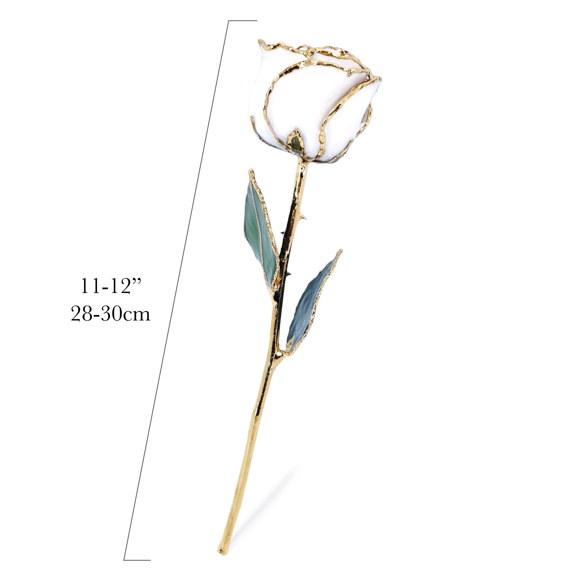24K Gold Forever Rose - White Satin