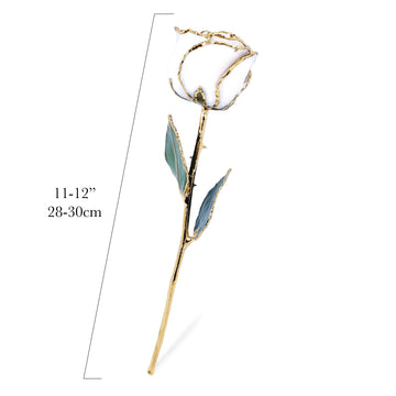 24K Gold Forever Rose - White Satin