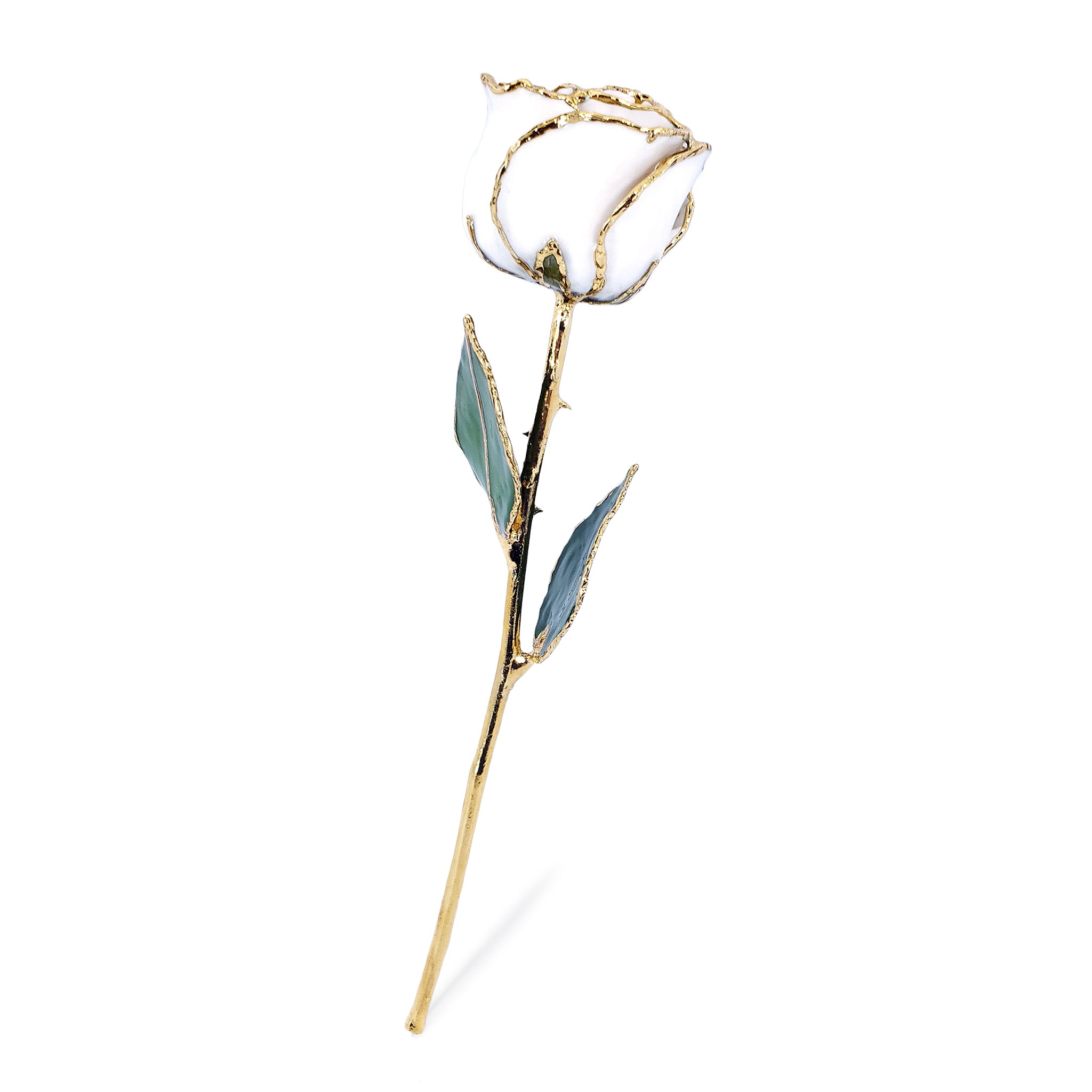 24K Gold Forever Rose - White Satin
