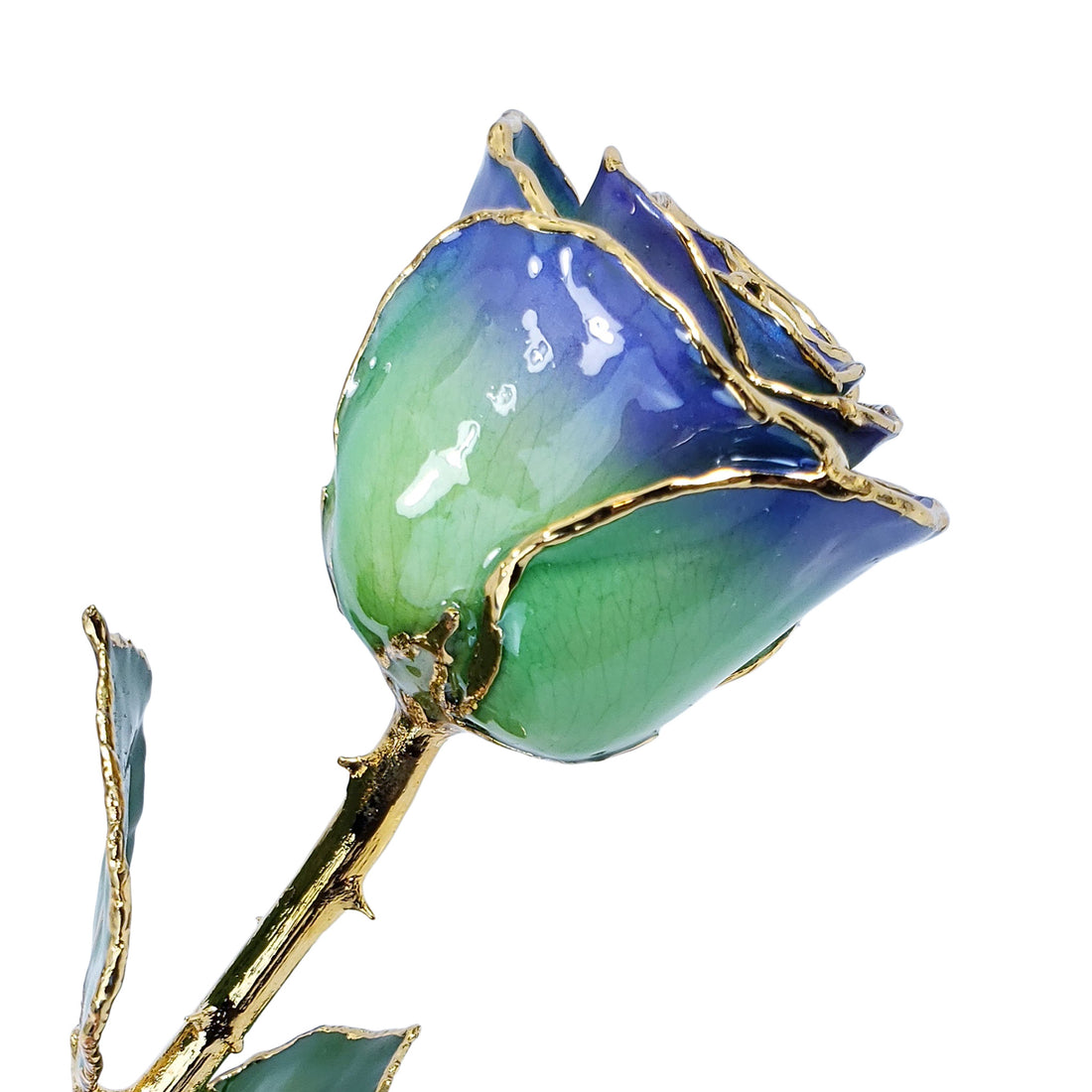 24K Gold Forever Rose - Wisteria