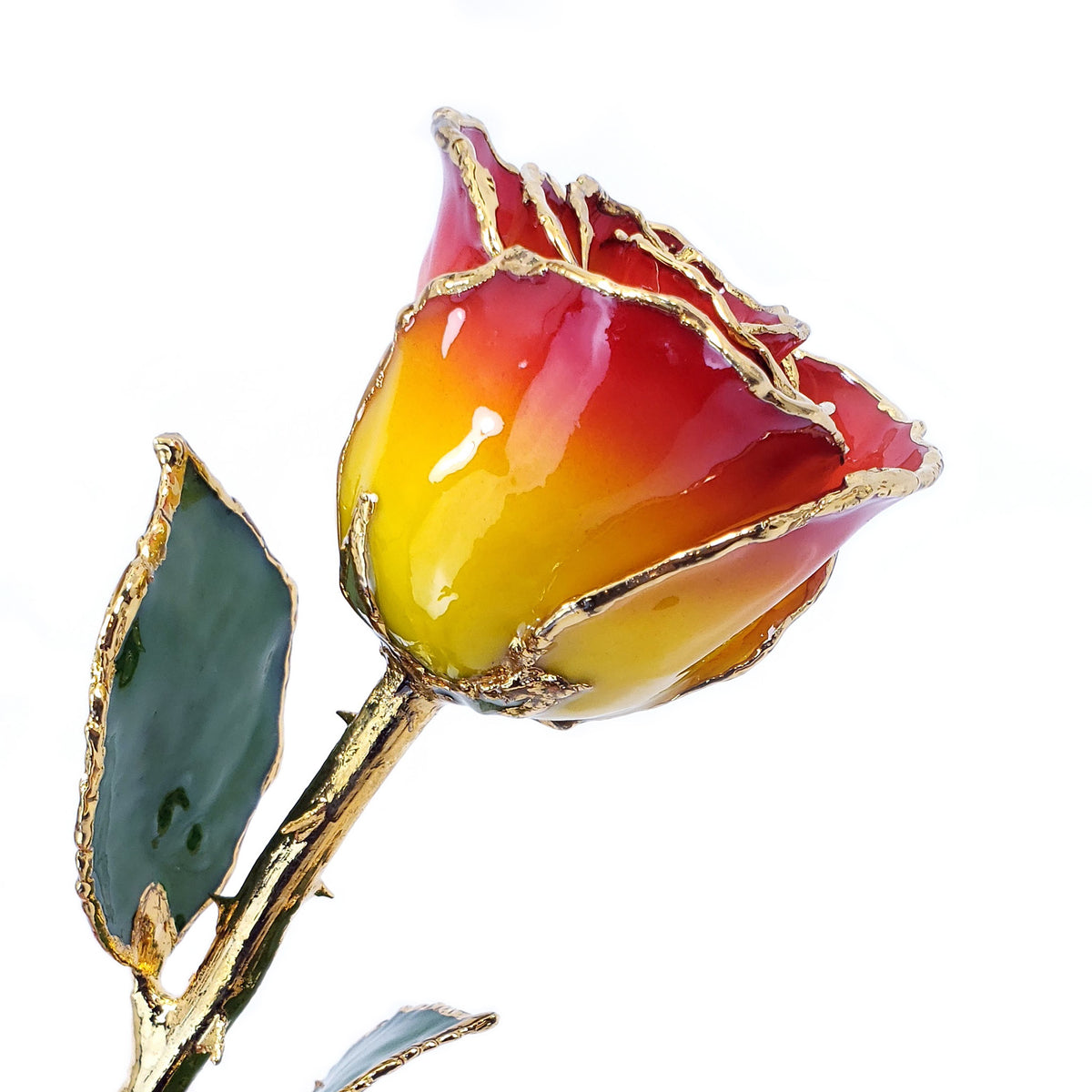 24K Gold Forever Rose - Yellow to Red