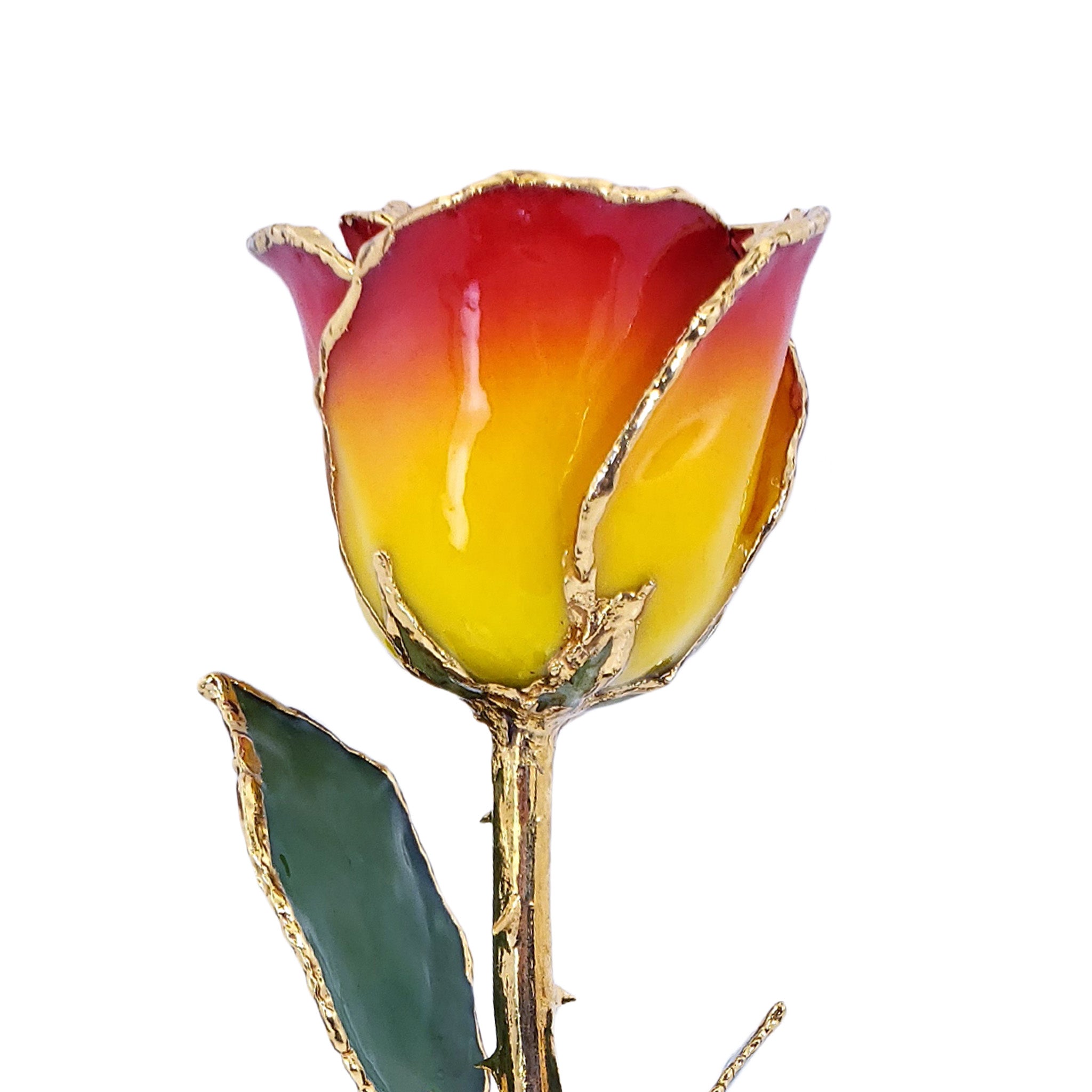 24K Gold Forever Rose - Yellow to Red