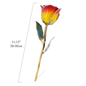 24K Gold Forever Rose - Yellow to Red