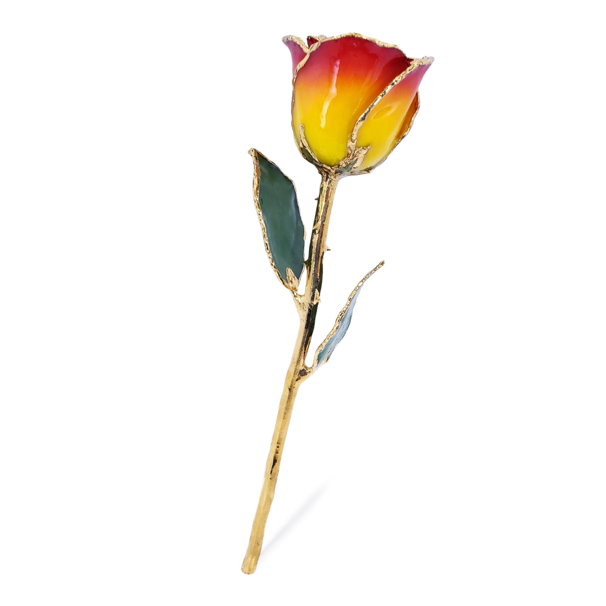 24K Gold Forever Rose - Yellow to Red
