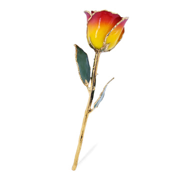 24K Gold Forever Rose - Yellow to Red
