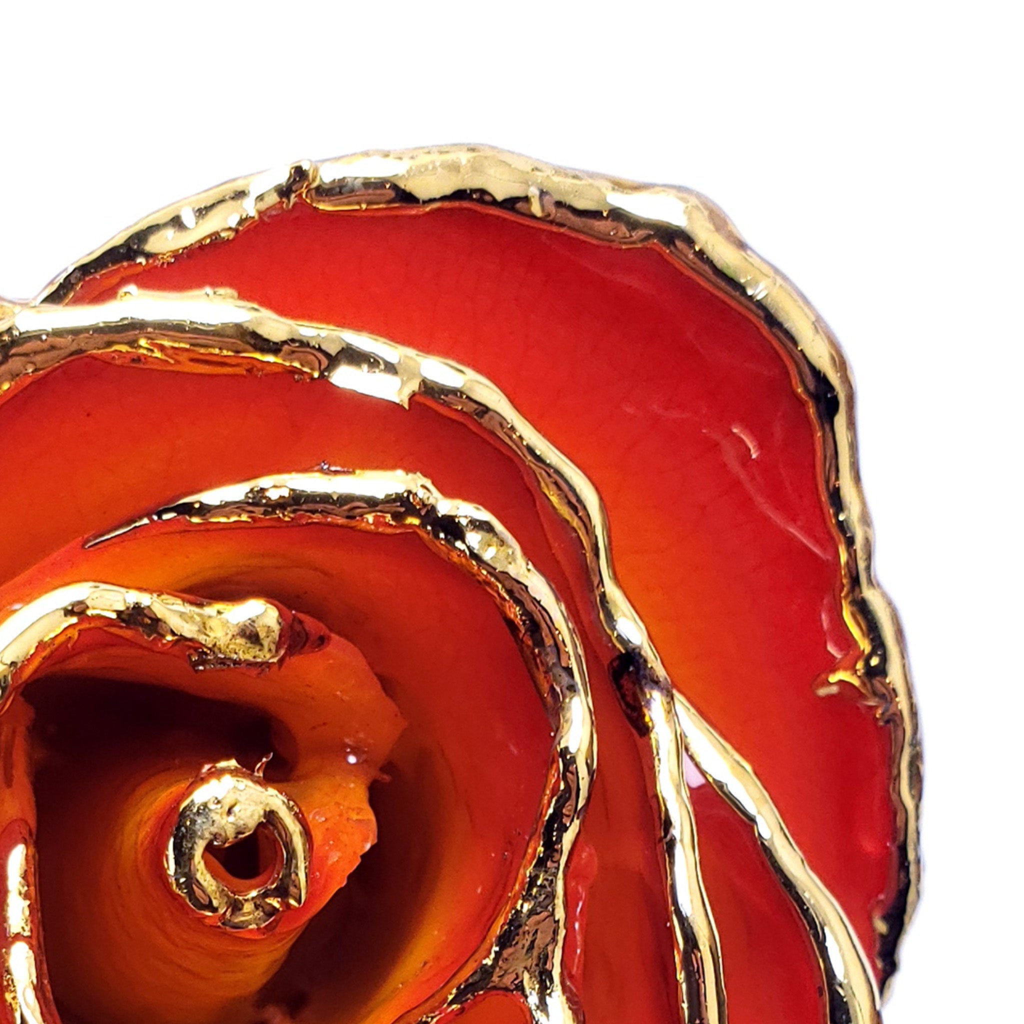 24K Gold Forever Rose - Yellow to Red