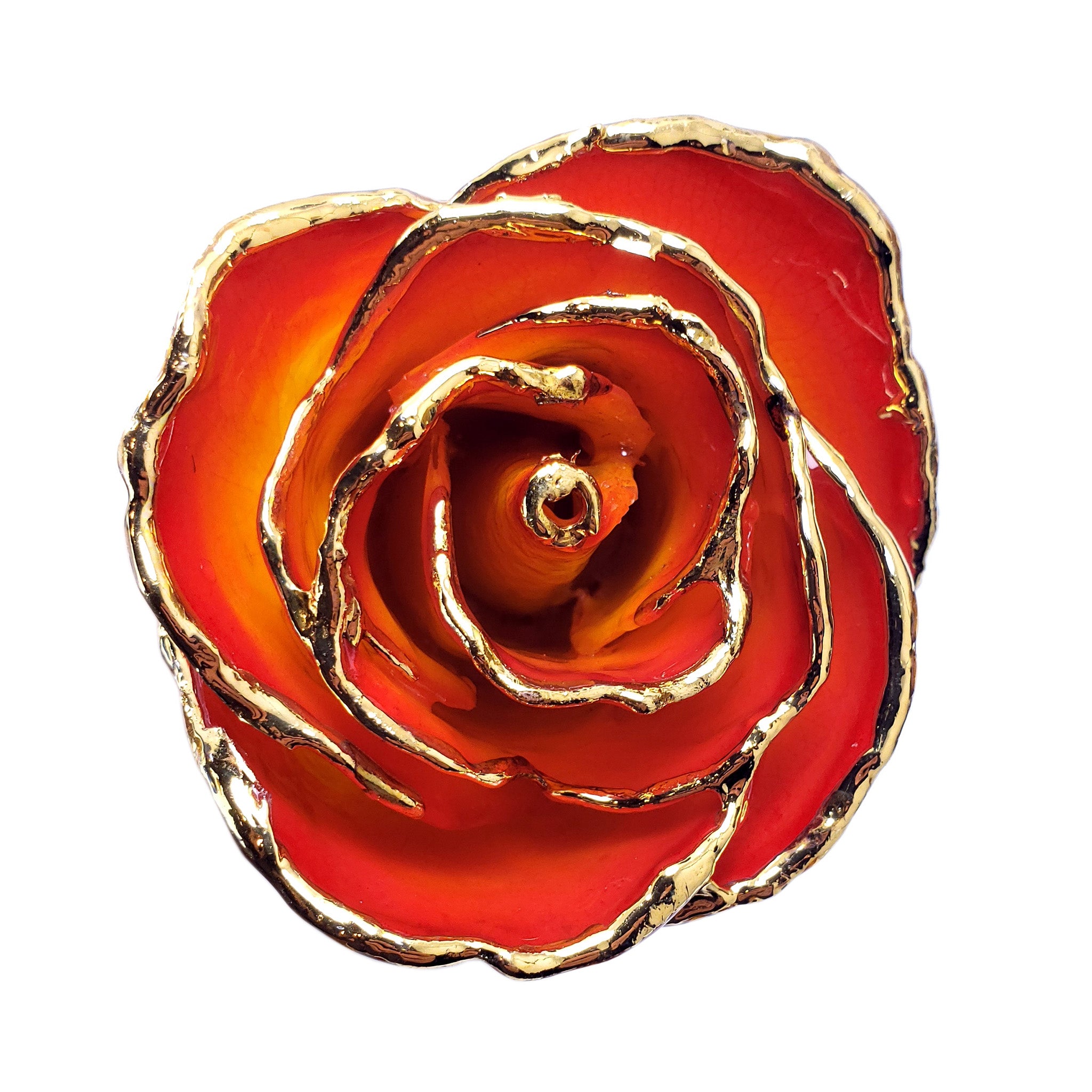 24K Gold Forever Rose - Yellow to Red