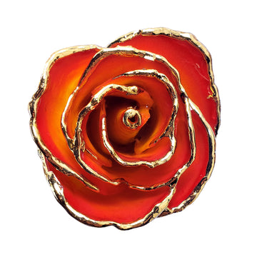 24K Gold Forever Rose - Yellow to Red