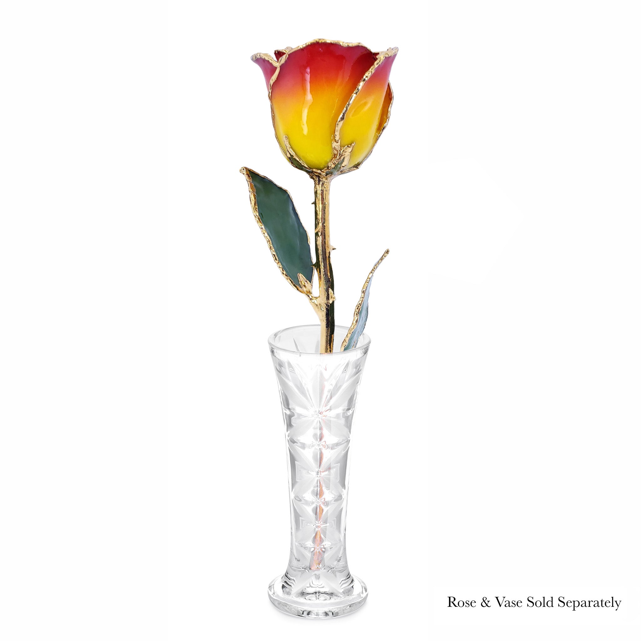 24K Gold Forever Rose - Yellow to Red