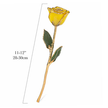 24K Gold Trimmed Forever Rose with Yellow Petals. View of Stem, Leaves, and Rose Petals and Showing Detail of Gold Trim. Measurements of rose shown.