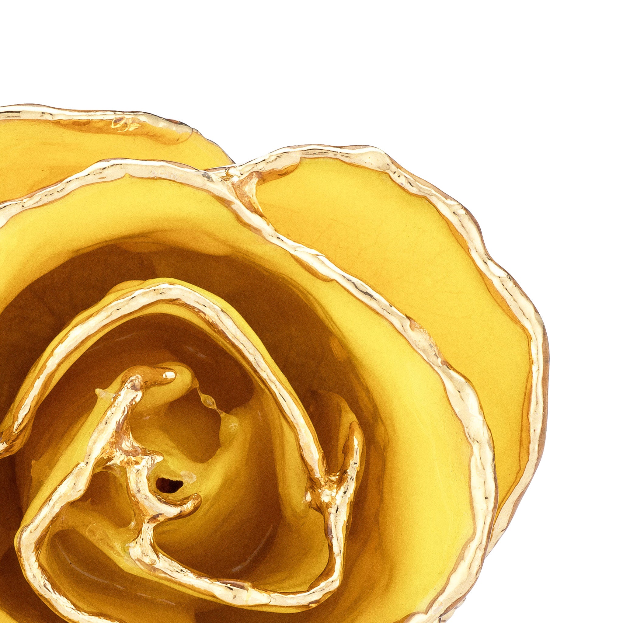 24K Gold Trimmed Forever Rose with Yellow Petals. View of Stem, Leaves, and Rose Petals and Showing Detail of Gold Trim. zoomed in view from top.