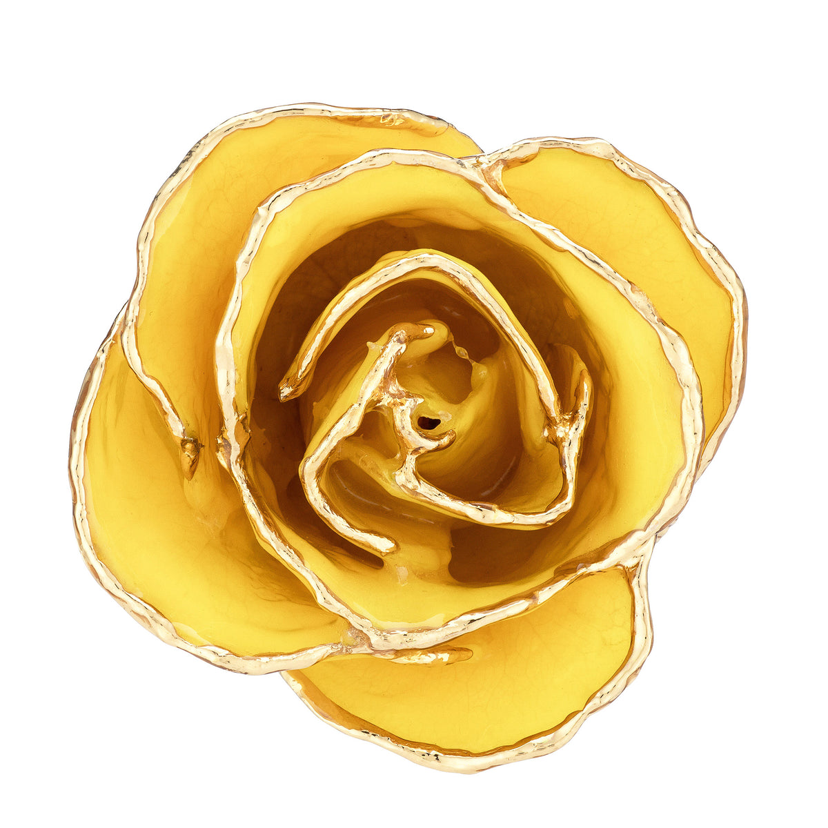 24K Gold Trimmed Forever Rose with Yellow Petals. View of Stem, Leaves, and Rose Petals and Showing Detail of Gold Trim View from top