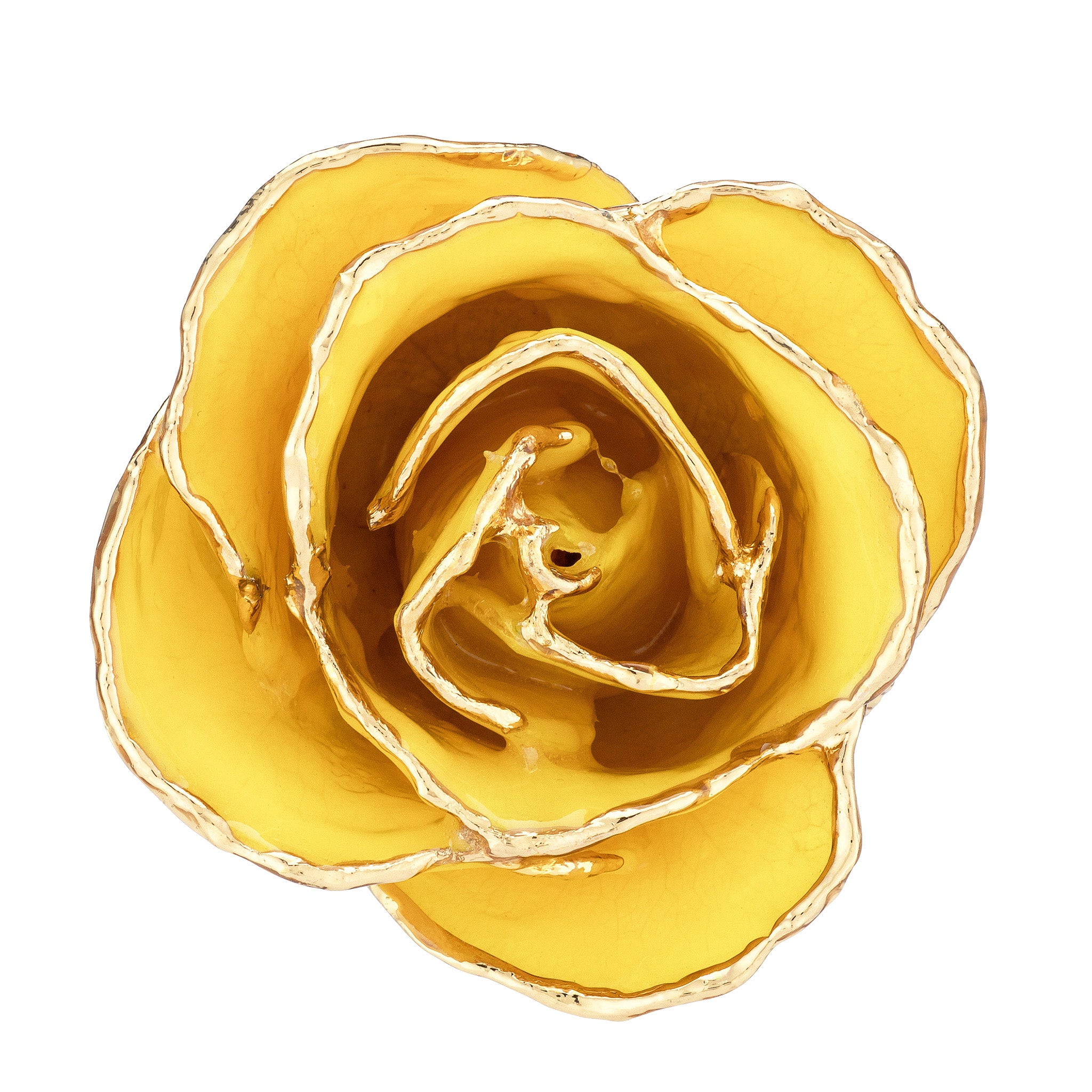 24K Gold Forever Rose - Yellow - The Forever Rose