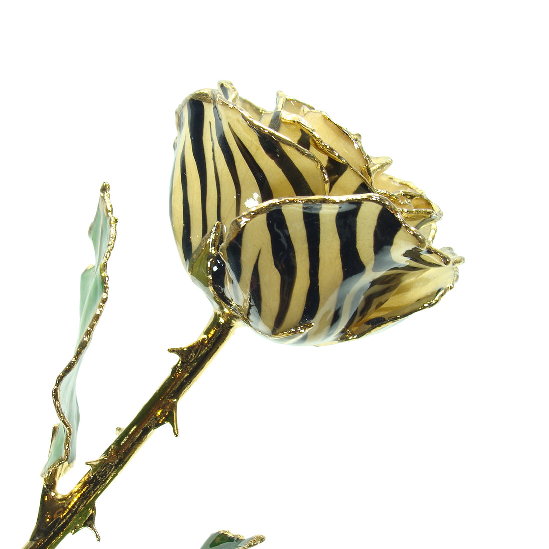 24K Gold Forever Rose - Zebra Rose