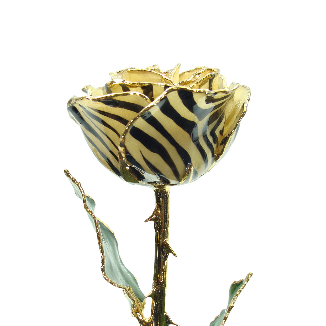 24K Gold Forever Rose - Zebra Rose