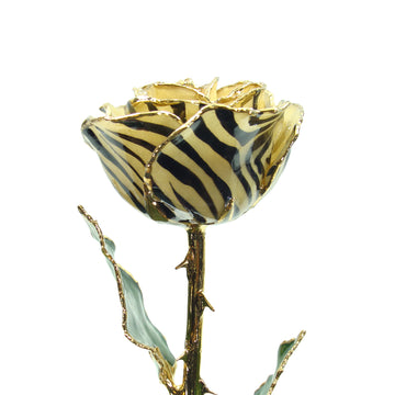 24K Gold Forever Rose - Zebra Rose