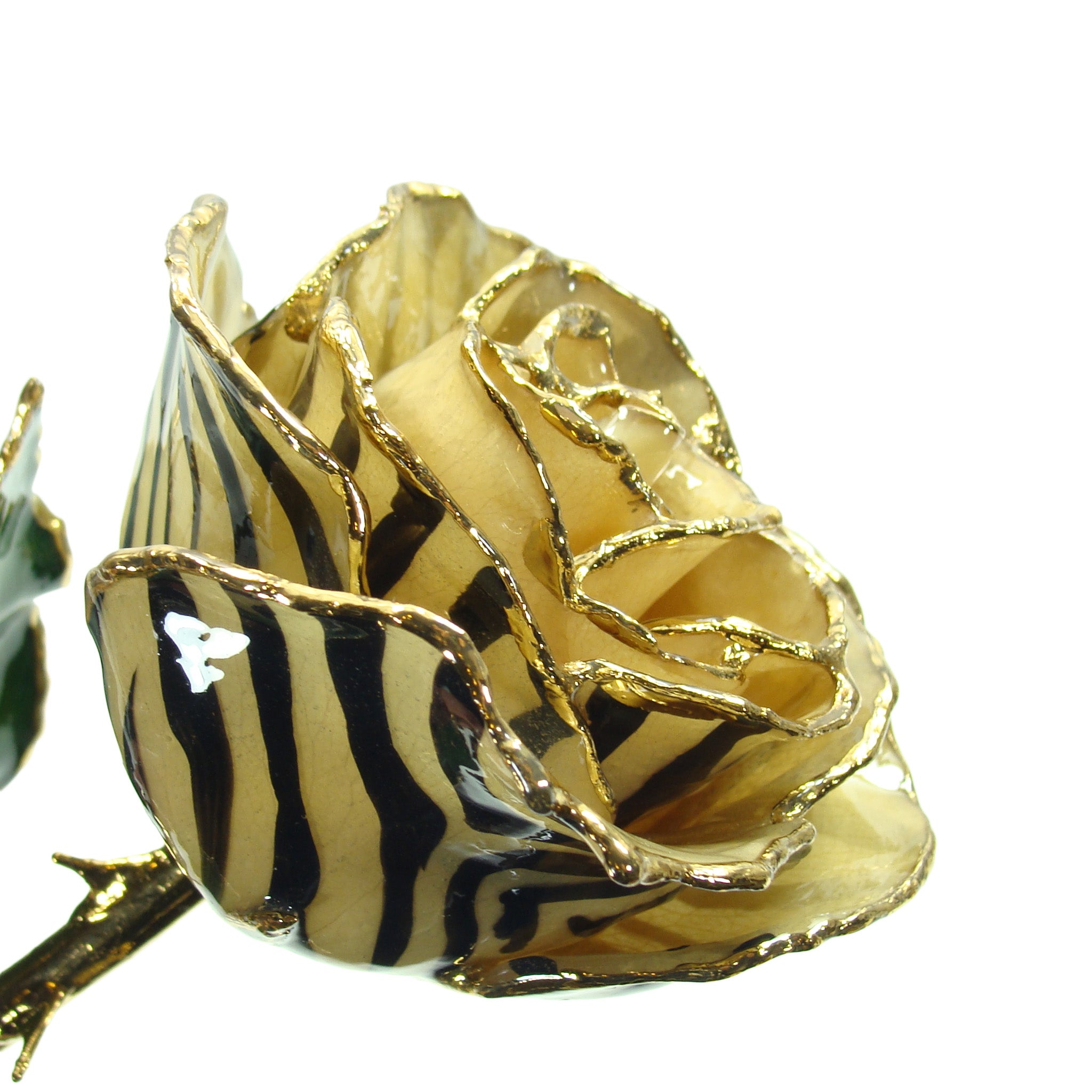 24K Gold Forever Rose - Zebra Rose