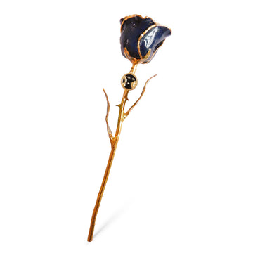 24K Gold Forever Rose - Zodiac with Pendant