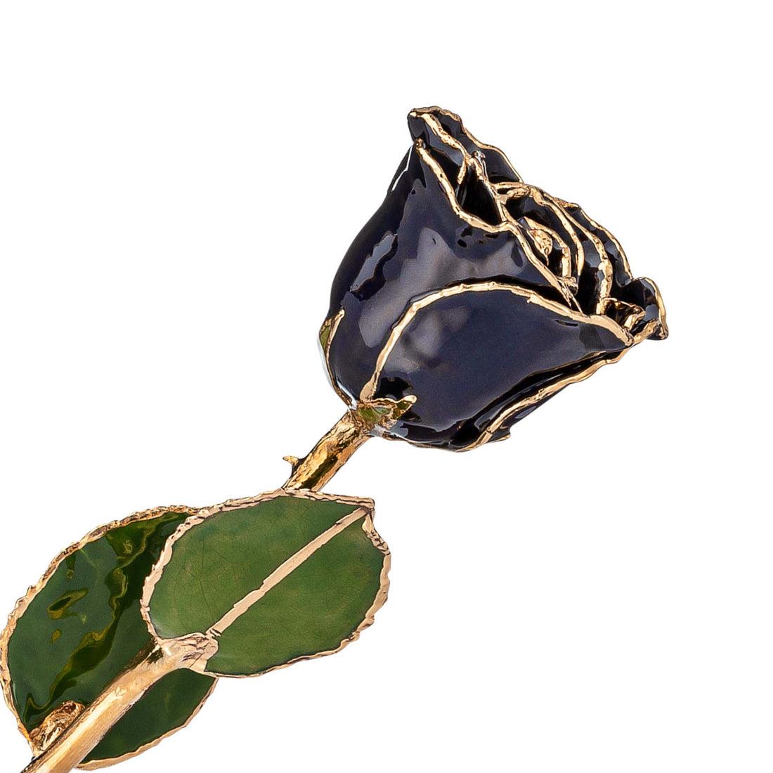 24K Gold Forever Rose - Zodiac