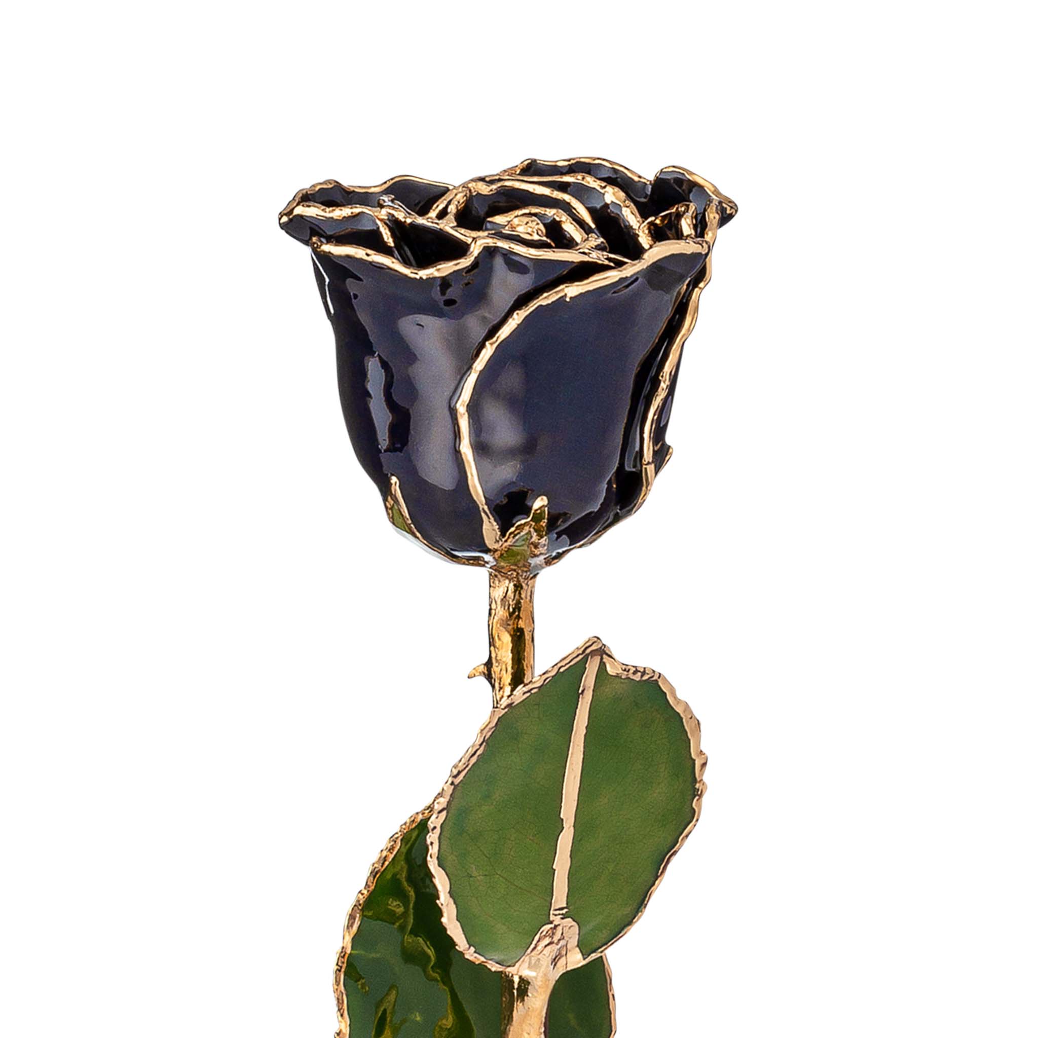 24K Gold Forever Rose - Zodiac