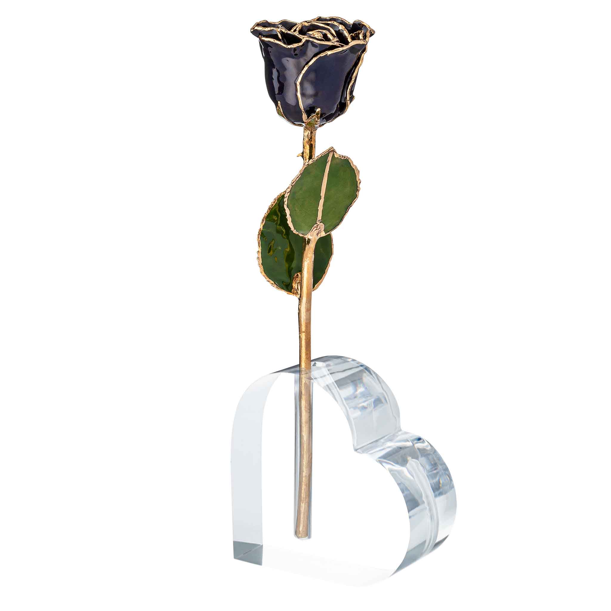 24K Gold Forever Rose - Zodiac