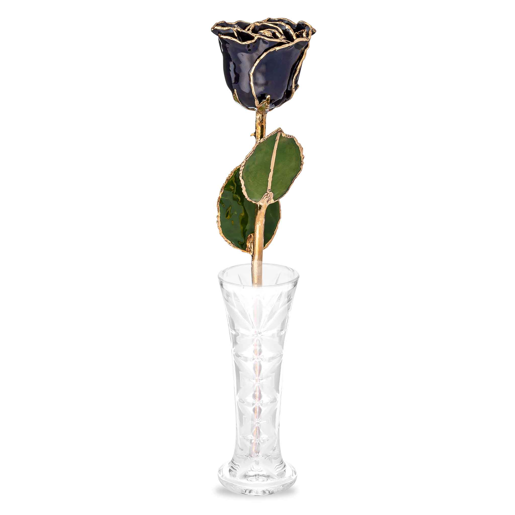 24K Gold Forever Rose - Zodiac