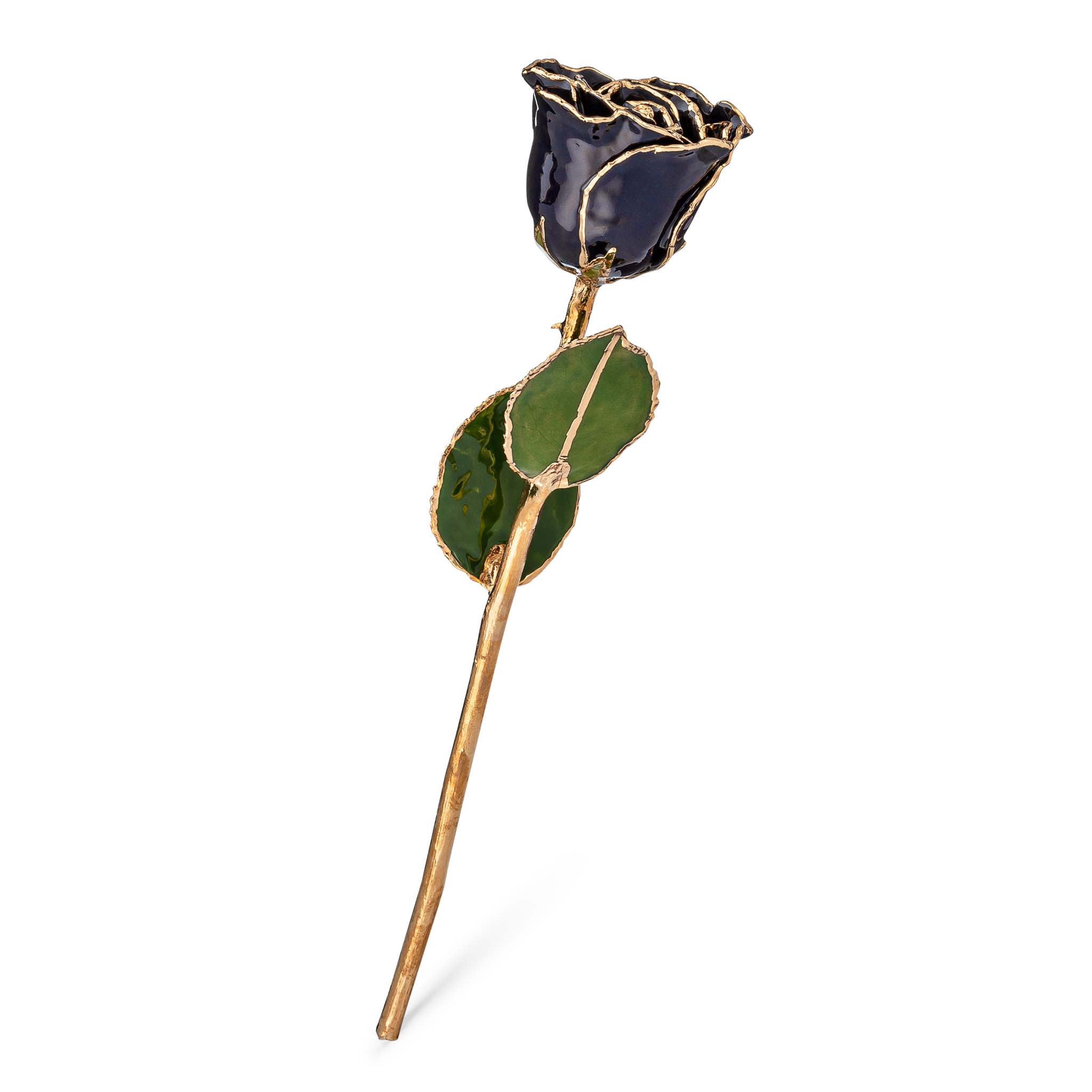 24K Gold Forever Rose - Zodiac