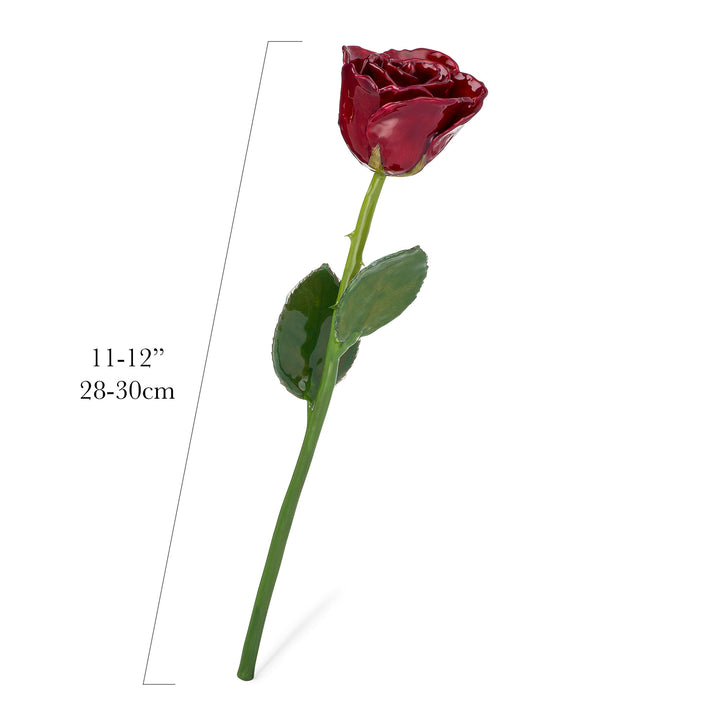 Natural (Green Stem) Forever Rose with Deep Red, Burgundy Colored Petals. View of Stem, Leaves, and Rose Petals. This a Forever Rose without any gold or other precious metals on it. This view shows measurements