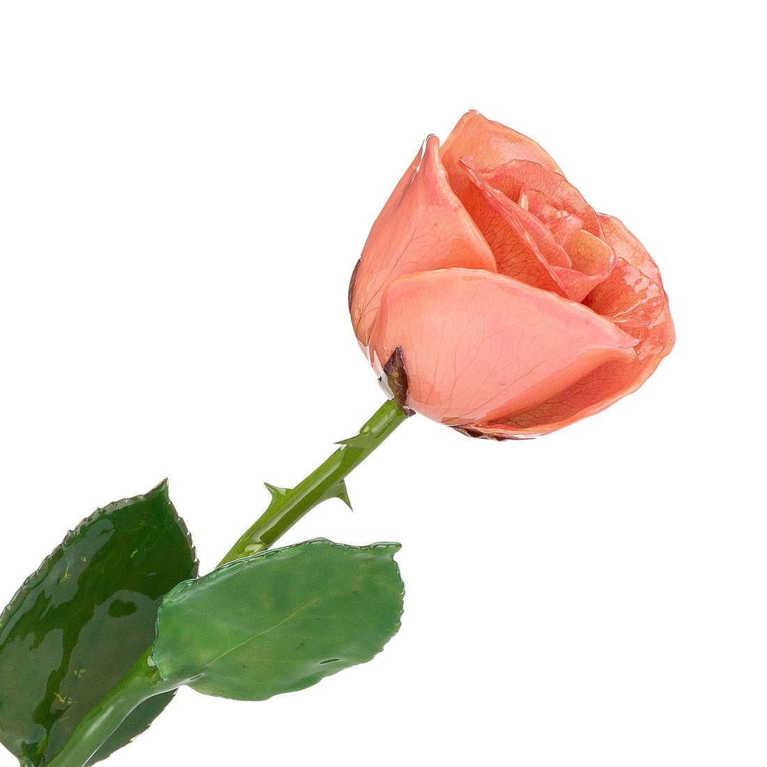 Natural (Green Stem) Forever Rose with Pink Colored Petals. View of Stem, Leaves, and Rose Petals. This a Forever Rose without any gold or other precious metals on it.