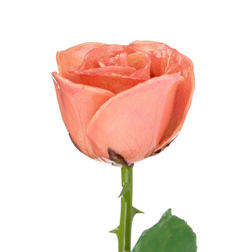 Natural (Green Stem) Forever Rose with Pink Colored Petals. View of Stem, Leaves, and Rose Petals. This a Forever Rose without any gold or other precious metals on it.