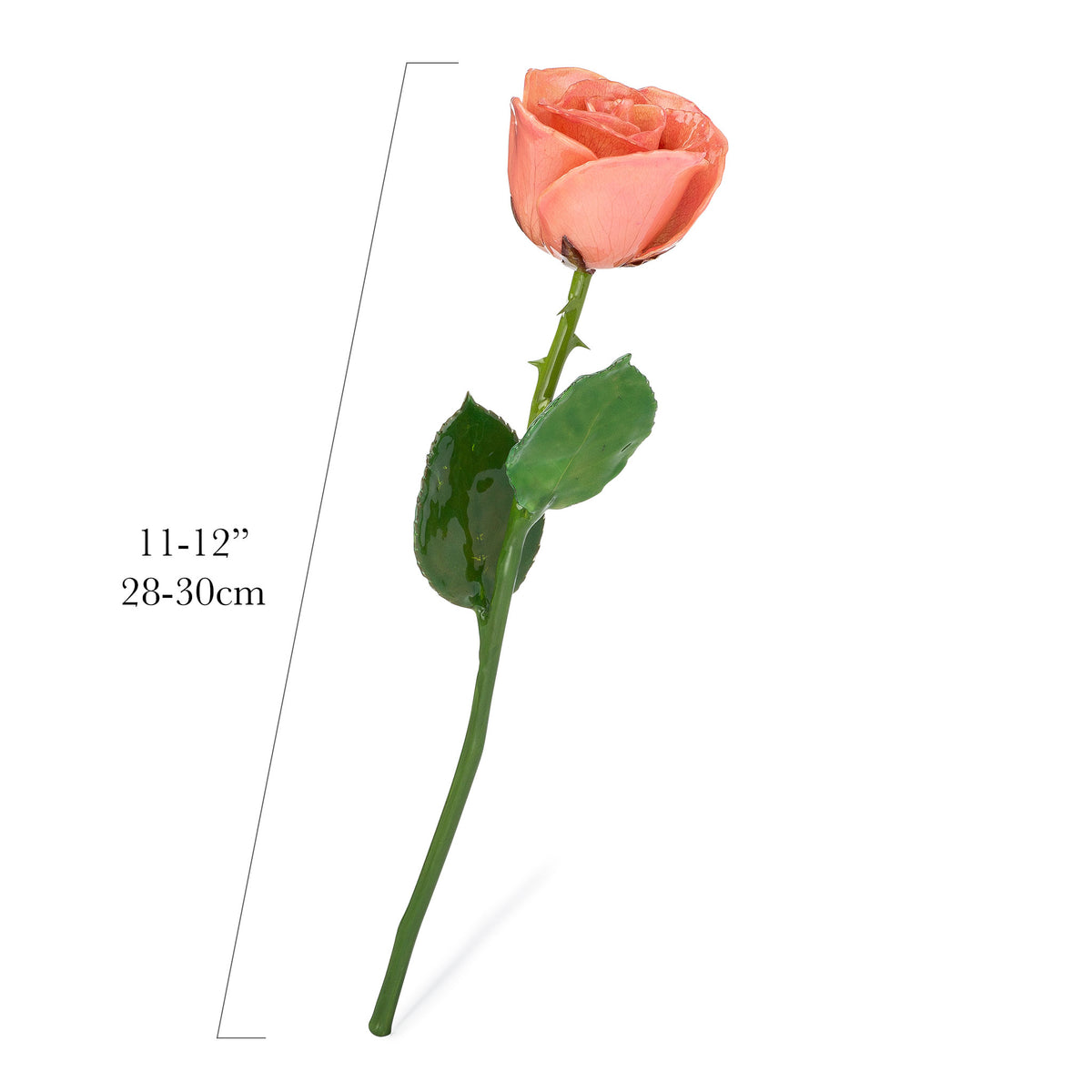 Natural (Green Stem) Forever Rose with Pink Colored Petals. View of Stem, Leaves, and Rose Petals. This a Forever Rose without any gold or other precious metals on it.