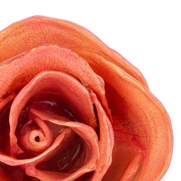 Natural (Green Stem) Forever Rose with Pink Colored Petals. View of Stem, Leaves, and Rose Petals. This a Forever Rose without any gold or other precious metals on it. zoomed in view from top.